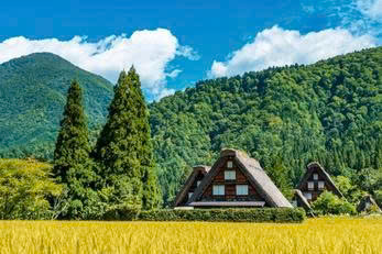 Ảnh toàn cảnh Đà Lạt